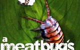 A_meatbugs_life_400