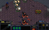 Starcraft_2009-09-11_21-41-38-76