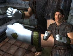 Elder Scrolls IV: Oblivion, The - Ещё одни модификации.