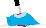 Twitter_20bird_20stabbed-thumb-500x271_1_