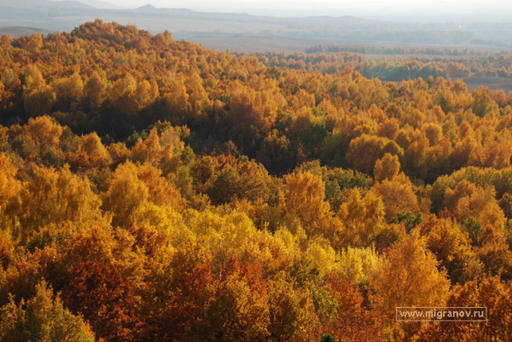 Обо всем - Первые дни осени (мои впечатления).