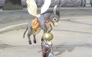 Aion-pets-1