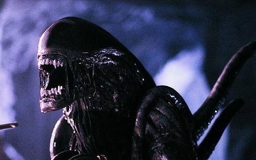 Aliens versus Predator (1999) - Решил сделать Арт-галерею