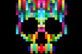 Skull-large